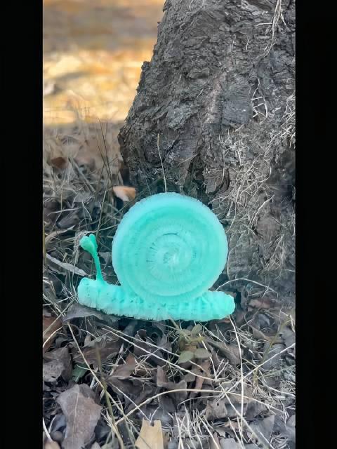 抖音忠实粉丝飞驰的蜗牛