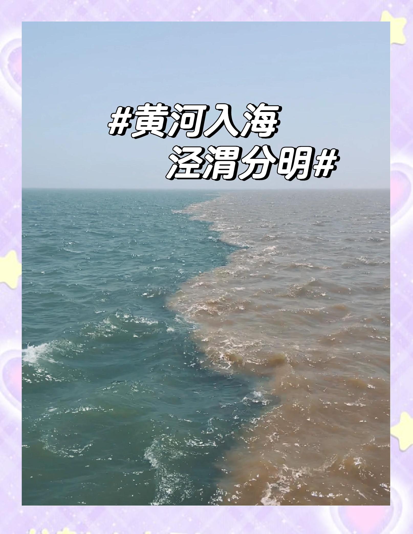 黄河口在哪里