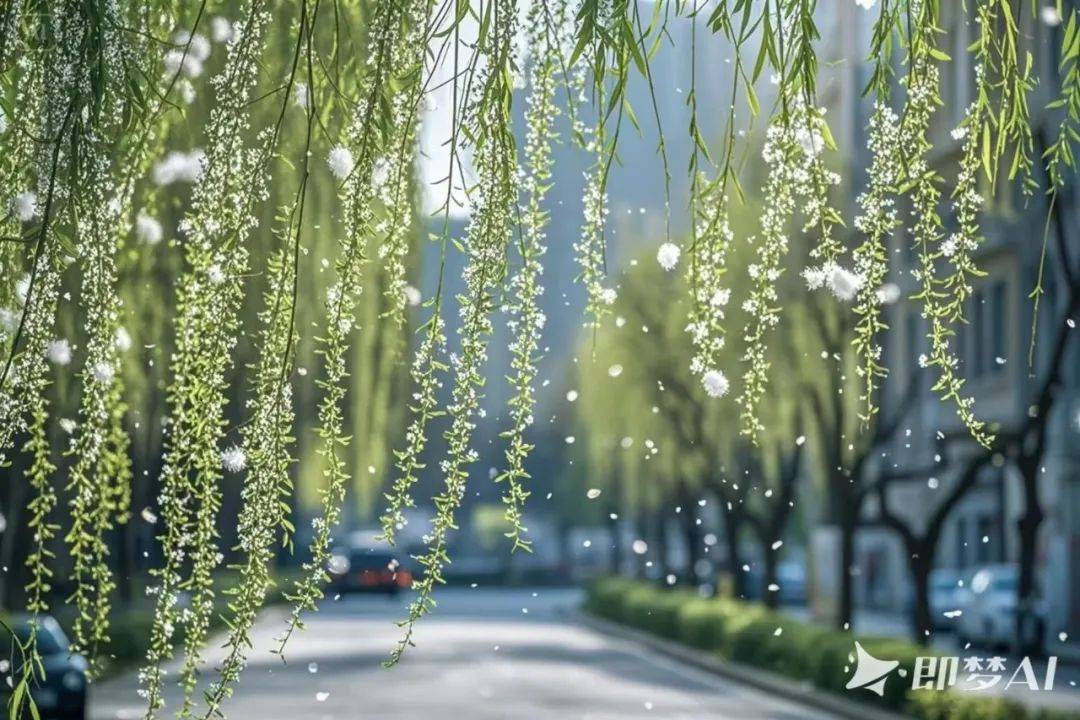 杨花和柳絮有什么区别